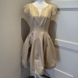 Halston Heritage Champagne Fit and Flare Cocktail Dress Size 10